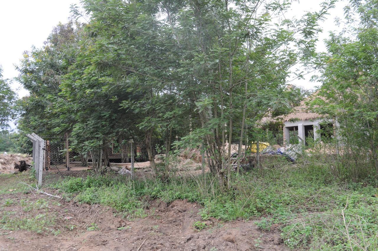 Irungu Forest Safari Lodge Katunguru Luaran gambar