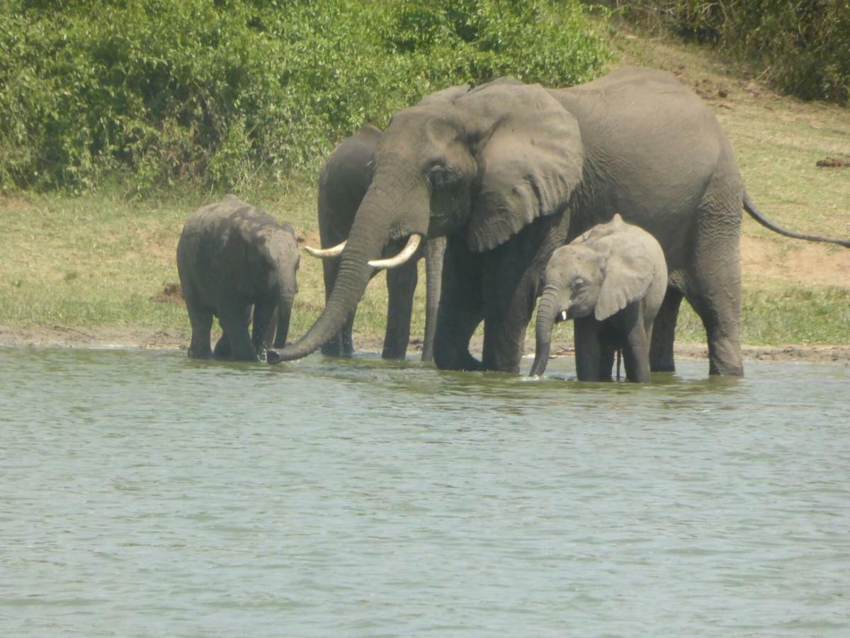 Irungu Forest Safari Lodge Katunguru Luaran gambar