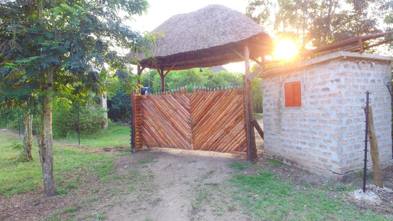 Irungu Forest Safari Lodge Katunguru Luaran gambar